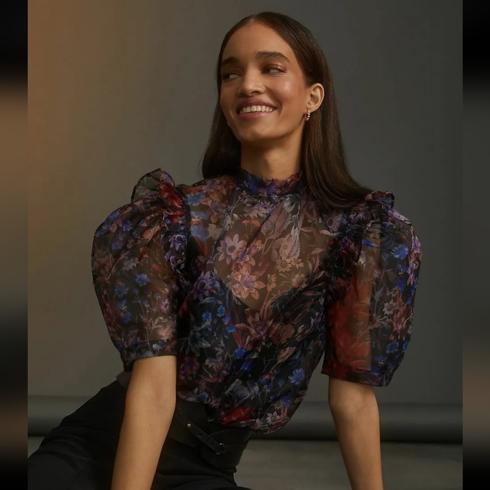 Maeve Anthropology Sheer Organza Puff Sleeve Floral Blouse